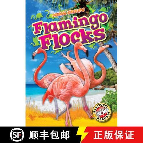 【3-4周达】精装 Flamingo Flocks [9798893045116]