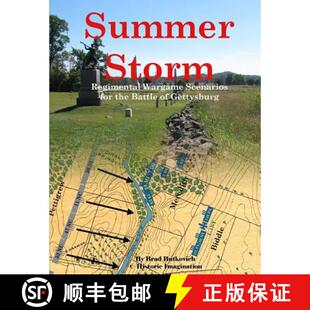 【3-4周达】Summer Storm: Regimental Wargame Scenarios For the Battle of Gettysburg [9780990412243]