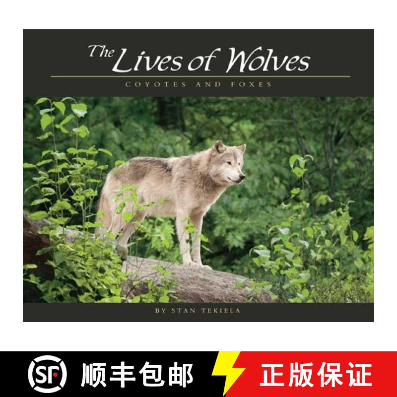 预订 Lives of Wolves, Coyotes and Foxes [9781591932765]