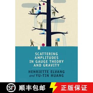 Gauge 9781107069251 4周达 Gravity and Theory Amplitudes Scattering
