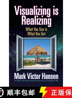【3-4周达】Visualizing is Realizing : What You See is What You Get [9781722503154]