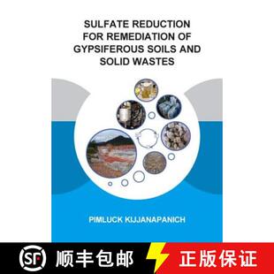 Gypsiferous UNESCO Soils and Reduction Remediation 9781138015357 PhD Th... Sulfate for Wastes Solid IHE 4周达