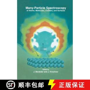 Atoms Spectroscopy Molecules Surfaces Many and 4周达 9781461354918 Particle Clusters