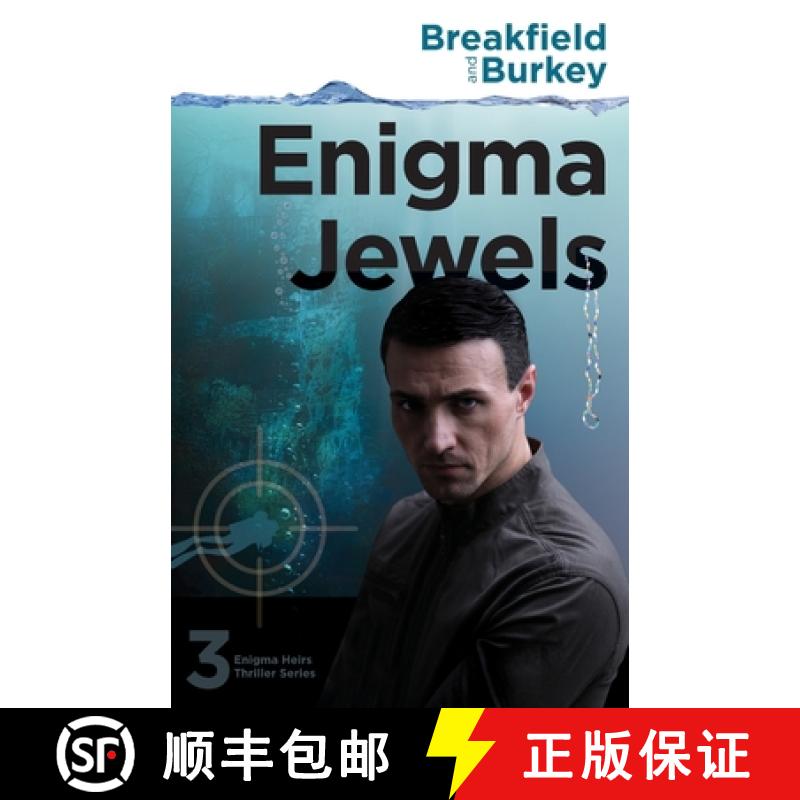 预订 Enigma Jewels [9781946858863]
