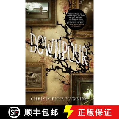 【3-4周达】Downpour [9781937346140]
