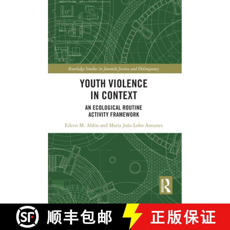 【3-4周达】Youth Violence in Context: An Ecological Routine Activity Framework [9781032100838]