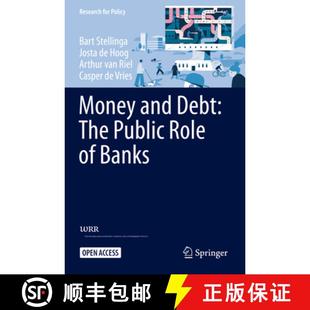 9783030702526 Money The Public Debt 4周达 and Banks Role