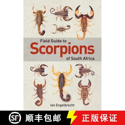 【3-4周达】Field Guide to Scorpions of South Africa [9781775845744]