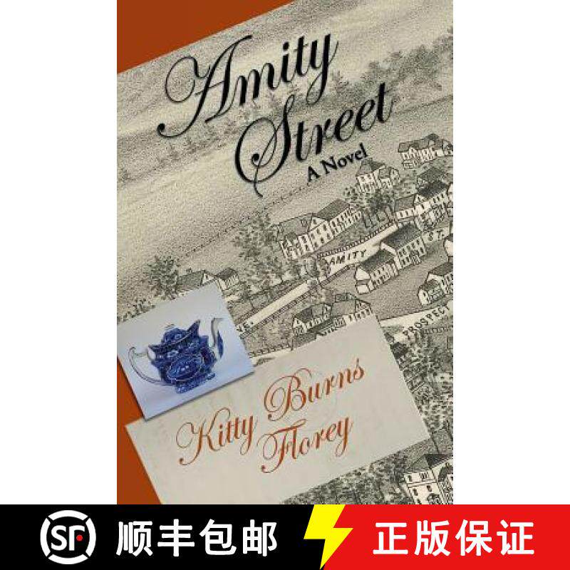 预订 Amity Street: a novel [9781887043298]