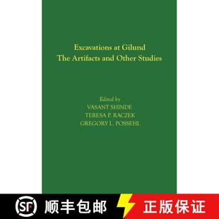 9781934536667 – and Artifacts The Studies 3周达 Excavations Other Gilund