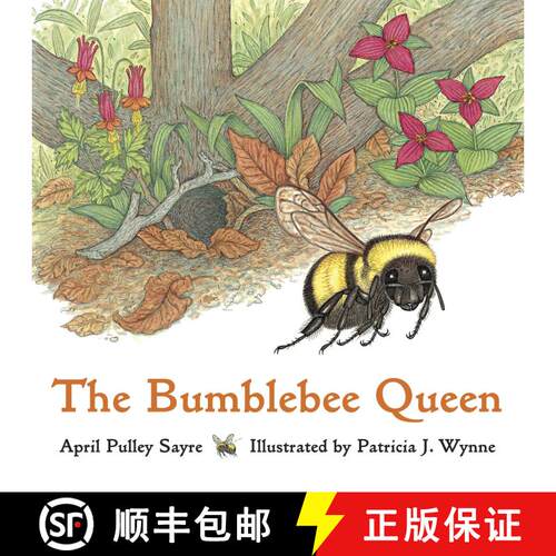 【3-4周达】The Bumblebee Queen [9781570913631]