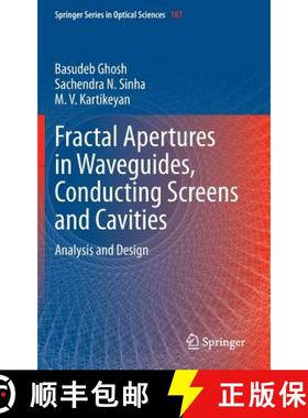 【3-4周达】Fractal Apertures in Waveguides, Conducting Screens and Cavities : Analysis and Design [9783319065342]