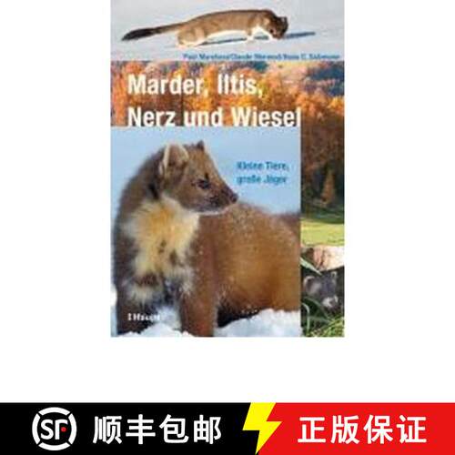【3-4周达】精装 Marder, Iltis, Nerz und Wiesel: Kleine Tiere, große Jäger [Martens, Polecats, Minks... [9783258074658]