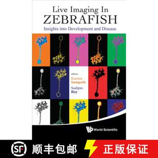 Insights Into Disease Live and 4周达 9789814307345 Imaging Development Zebrafish