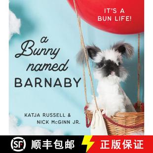 Named Life Bun 4周达 9781684422159 Bunny Barnaby