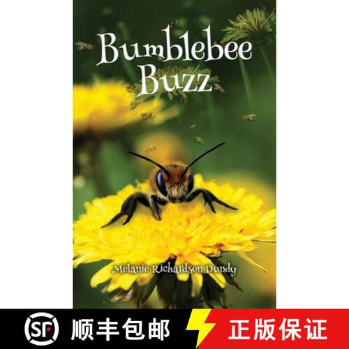 【3-4周达】精装 Bumblebee Buzz [9781088258293]