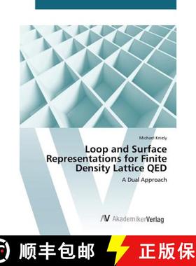 预订 Loop and Surface Representations for Finite Density Lattice QED [9783639841329]