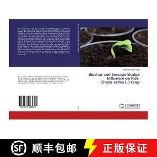 Sewage 9783330085398 Oryza Biochar and sativa Influence Sludge Crop 预订 Rice