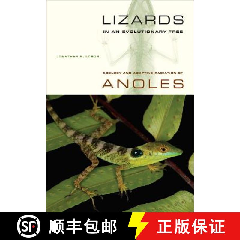 【3-4周达】Lizards in an Evolutionary Tree, Volume 10: Ecology and Adaptive Radiation of Anoles [9780520269842]