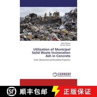 Concrete Municipal Incineration Ash Waste Solid 9783659591266 预订 Utilization