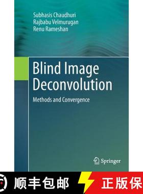 【3-4周达】Blind Image Deconvolution : Methods and Convergence [9783319352169]