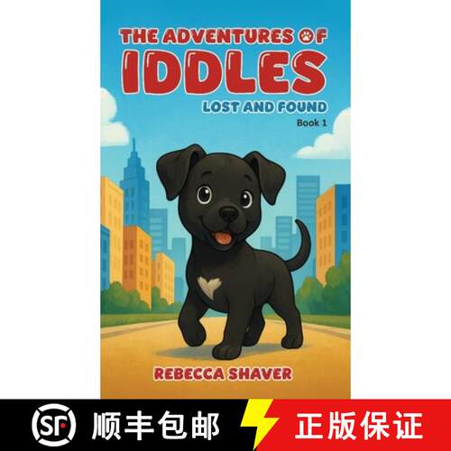 【3-4周达】精装 The Adventures Of Iddles: Lost And Found [9798295491788]