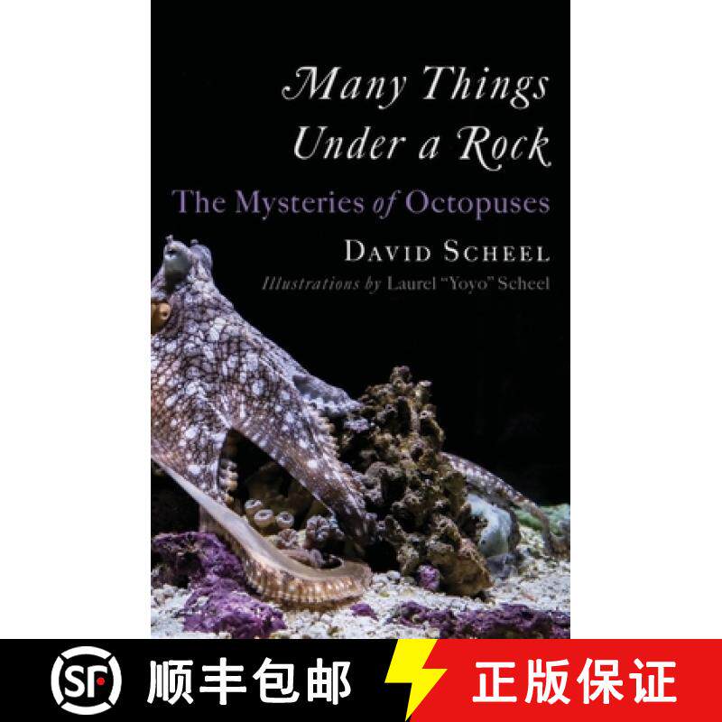 预订 Many Things Under a Rock - The Mysteries of Octopuses [9781324020691]