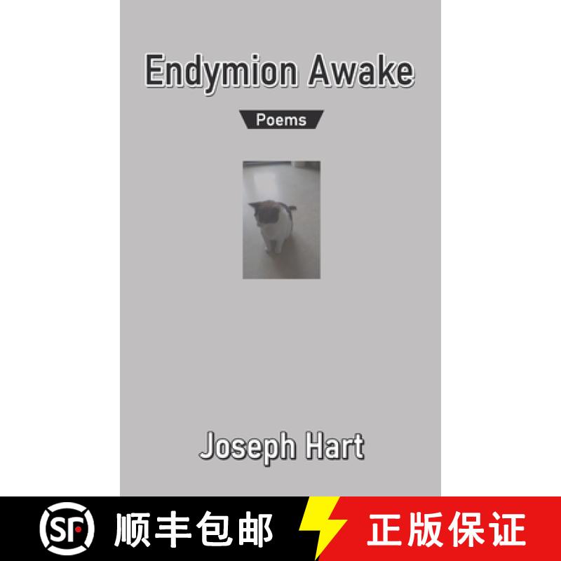 预订 Endymion Awake [9789390601738]
