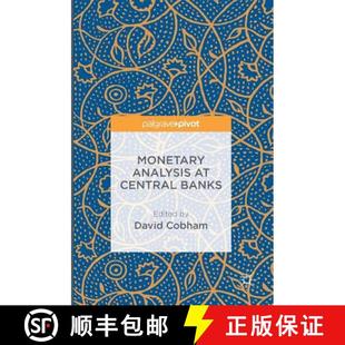 Monetary Analysis Banks 4周达 Central 9781137593344