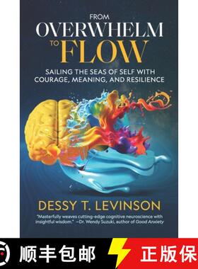 预订 From Overwhelm to Flow: Sailing the Seas of Self with Courage, Meaning, and Resilience [9798991812177]