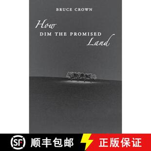 How Dim the Land 4周达 Promised 9780995849242