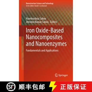 Fundamentals 9783031445989 Iron Nanocomposites and Based 4周达 Oxide Applications Nanoenzymes
