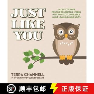 Self Boost While You Descriptive Collection 9798822972353 L... Just 4周达 Words Like Confidence Positive