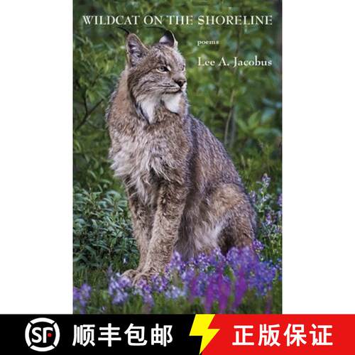 【3-4周达】Wildcat on the Shoreline [9798985562132]