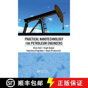 Practical Nanotechnology for Engineers 4周达 Petroleum 9780367656485