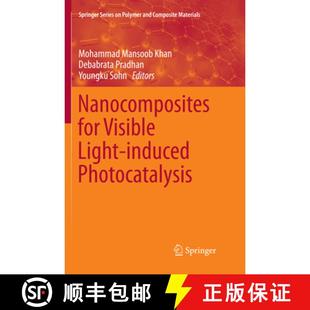 Nanocomposites for Photocatalysis 9783319873138 Induced 4周达 Light Visible