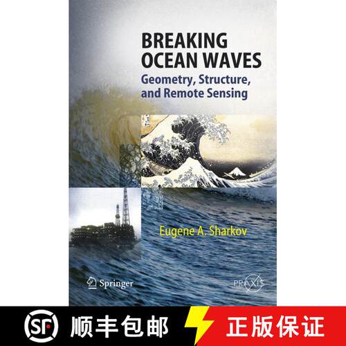 【3-4周达】精装 Breaking Ocean Waves : Geometry, Structure and Remote Sensing [9783540298274]