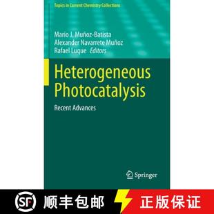 Heterogeneous 4周达 Photocatalysis Recent 9783030494940 Advances