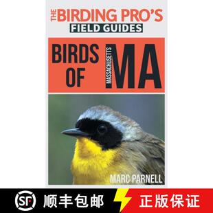 Birding Massachusetts Pro Guides Birds Field 4周达 9781954228184 The