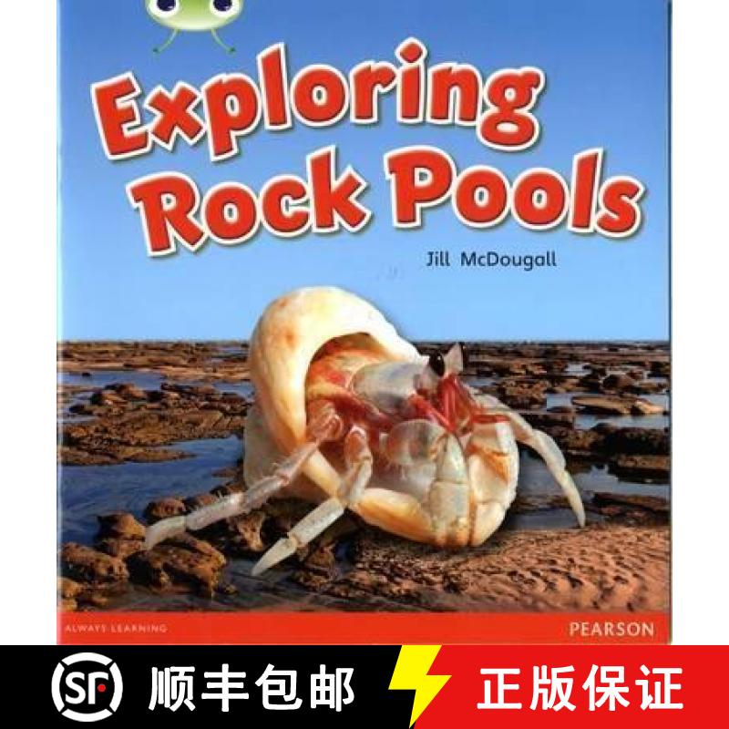 【2-3周达】Bug Club Guided Non Fiction Year 1 Green C Exploring Rock Pools [9780435167363]
