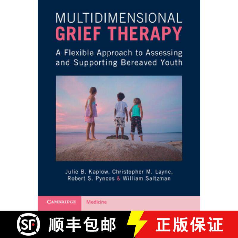 【3-4周达】Multidimensional Grief Therapy: A Flexible Approach to Assessing and Supporting Bereaved Y... [9781107566507]