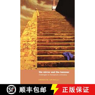 The 9781412901789 Thought Challenging 4周达 Orthodoxies and Mirror Psychotherapeutic the Hammer