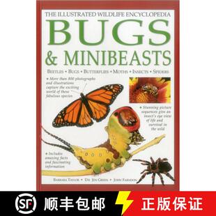 Wildlife 9781861474223 Beetles The Illustrated Butterflies Bugs Encyclopedia Ins... 预订 Moths Minibeasts