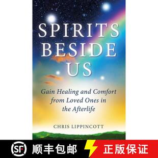 Gain Healing Spirits the Ones and Afterlife from Beside Loved 4周达 9781734746211 Comfort