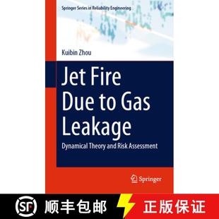 Fire Gas Jet Risk 9789819753284 and Due 4周达 Dynamical Leakage Assessment Theory