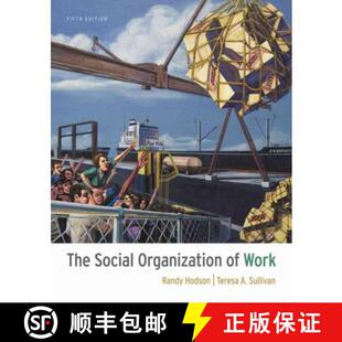 【3-4周达】The Social Organization of Work [9781111300951]