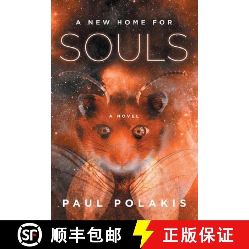 【2-3周达】A New Home for Souls: An Irksome Flaw in the Design of Intelligence [9780578783147]
