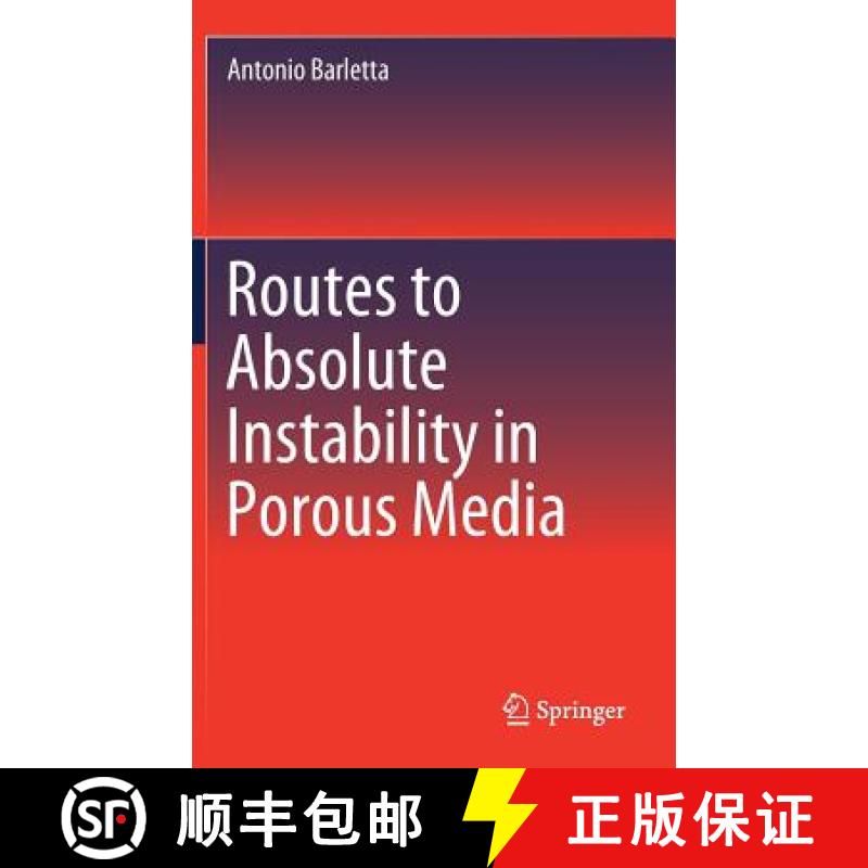 【3-4周达】Routes to Absolute Instability in Porous Media [9783030061937]
