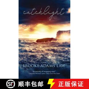 【3-4周达】Catchlight [9781949116182]