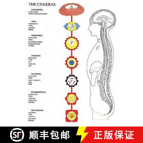 【3-4周达】Chakras -- A2 [9789079887279]